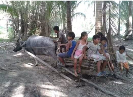Life in the village